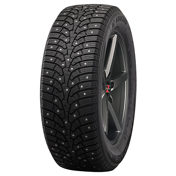 245/50R18 104T Nankang SW-9